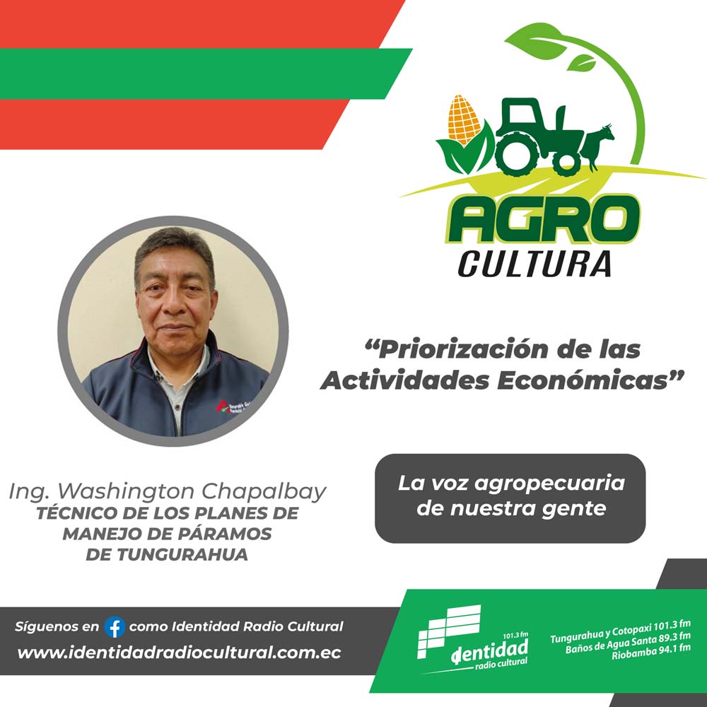 Priorización de las Actividades Económicas