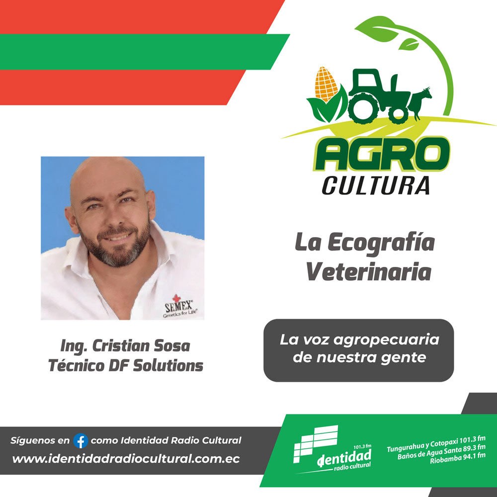 La Ecografía Veterinaria