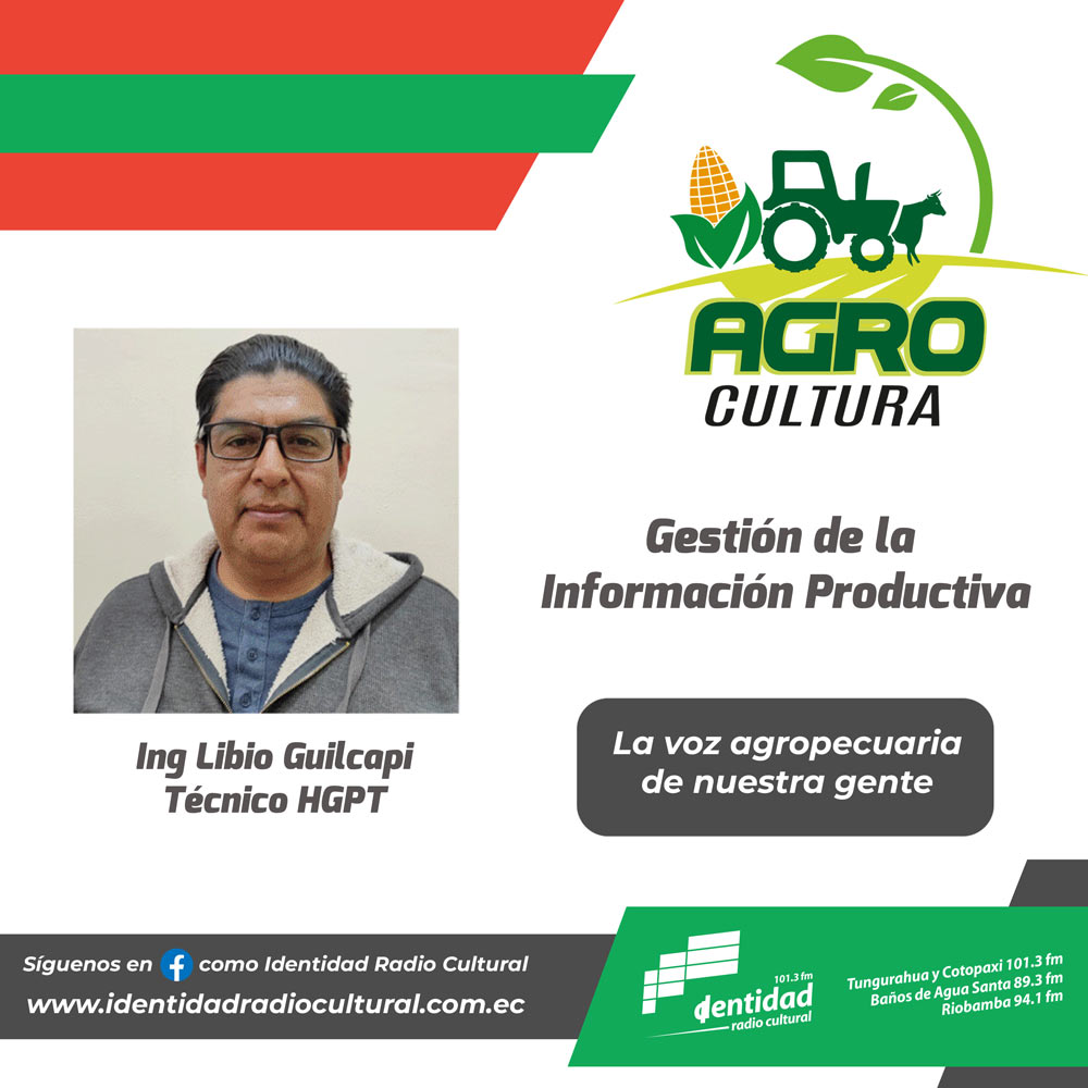 Gestión de la Información Productiva