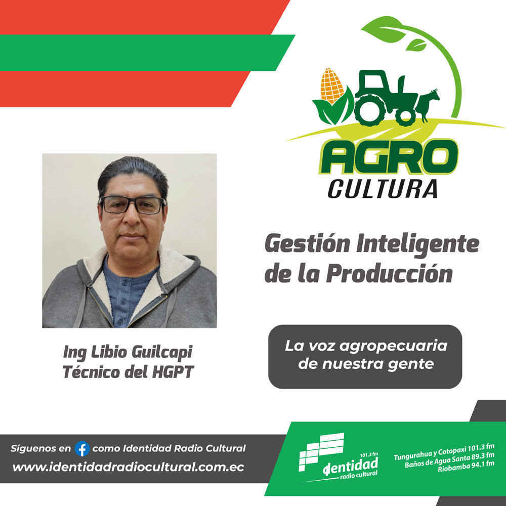 La Gestión Inteligente de la Producción