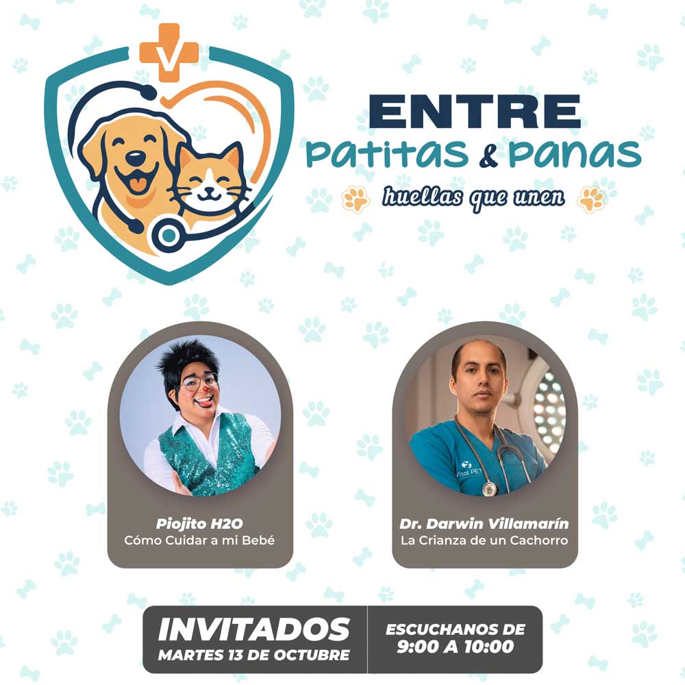 La Crianza de un Cachorro